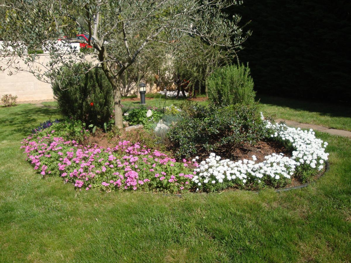 Mošćenička Draga Apartments Mogorovic מראה חיצוני תמונה